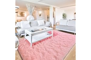 Terrug Fluffy Rugs for Living Room Bedroom, Pink 3x5 Area Rug Washable Shag Carpet, Super Soft Fuzzy Plush Non-Slip Cute Modern Kids Rug for Nursery College Dorm Classroom Kids Room Home Decor