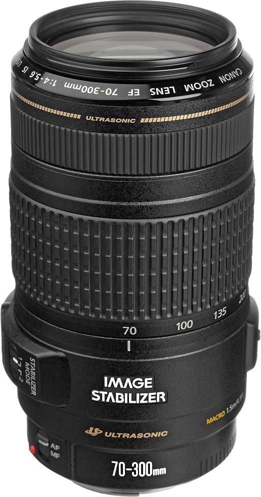 Canon EF 70-300mm f/4-5.6 IS USM Lens