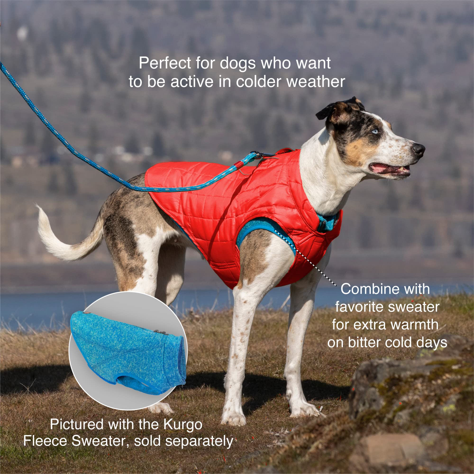 Kurgo Loft Dog Jacket, Reversible Dog Coat, Wear with Harness or Sweater, Water Resistant