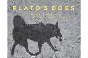 Plato's Dogs
