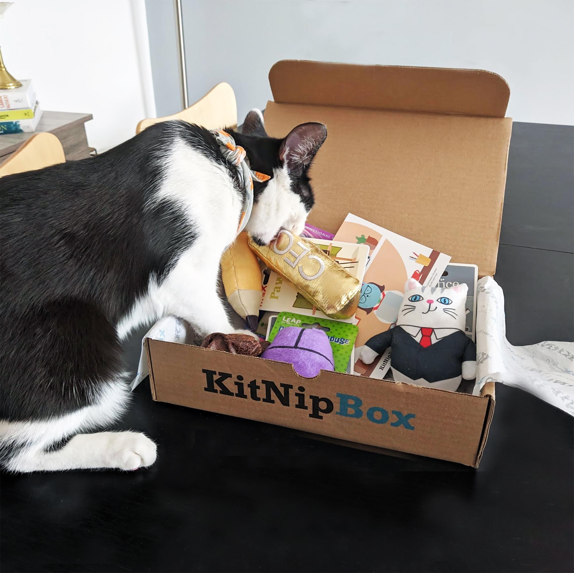 KitNipBox | Happy Cat Dietary Box | Monthly Cat Subscription Boxes