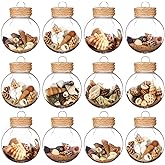 Arrowbash 12 Pcs Coastal Christmas Decor Beach Ornaments for Christmas Tree Ocean Themed Clear Bottle of Sand Decor with Seashell Nautical Xmas Hanging Decorations for Home Xmas Tree