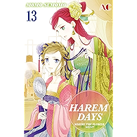 HAREM DAYS THE SEVEN-STARRED COUNTRY Vol. 13 book cover