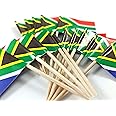 JBCD South Africa Toothpick Flag South African Mini Small Cupcake Topper Flags, 100pcs