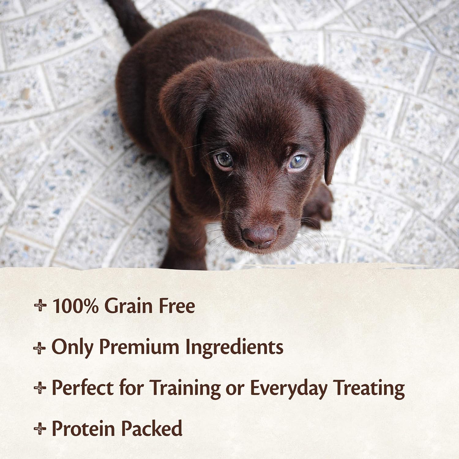 wellness core puppy bites