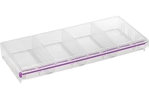 Craft Mates Bead Organizer and Plastic Storage Containers for Crafts, Buttons, Pins and More, 4 Compartments, 2XL, Clear Lids