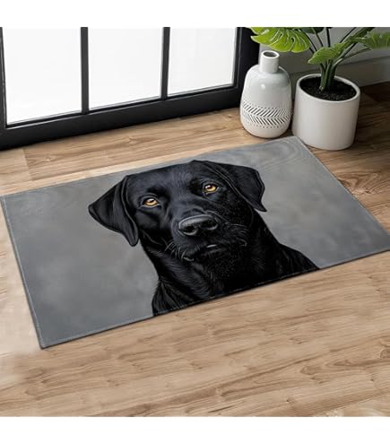 Paillasson Calloway Mills Labrador – Fibres De Coco Naturelles – 43x73 Cm, Motif Labrador