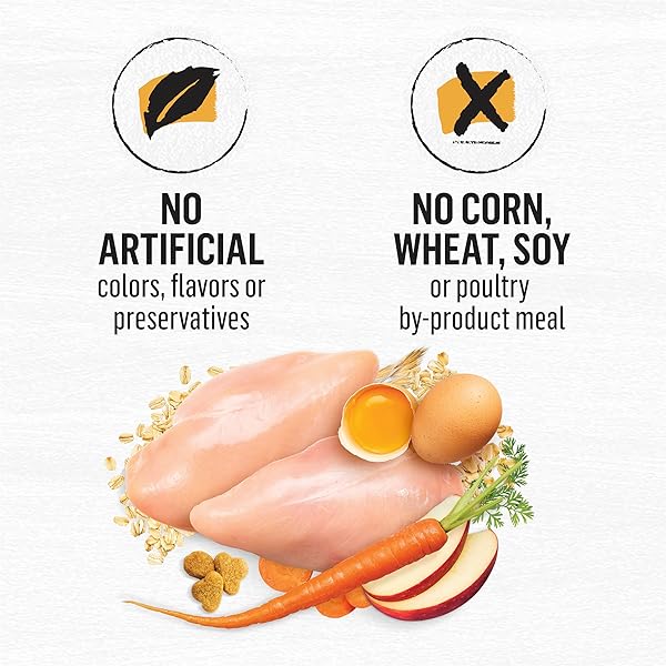 PURINA BEYOND NATURAL DRY CAT FOOD WHOLESOME INGREDIENTS FOR WHOLE HEALTH WHITE MEAT CHICKEN AND WHOLE OAT MEAL RECIPE – 3 LB. BAG
