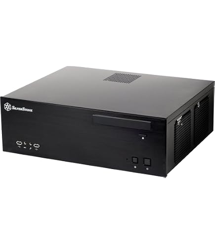 Amazon.com: Silverstone Technology SST-GD05B-3.0-USA USB3.0