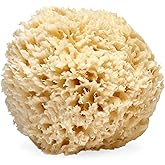 LATHER - Natural Sea Wool Sponge, 5-6" - Organic Exfoliating Body Scrubber - Soft, Gentle Cleansing - Hypoallergenic - All Skin Types - Florida Natural Loofah Sponge - Cruelty Free - Beauty & Skincare