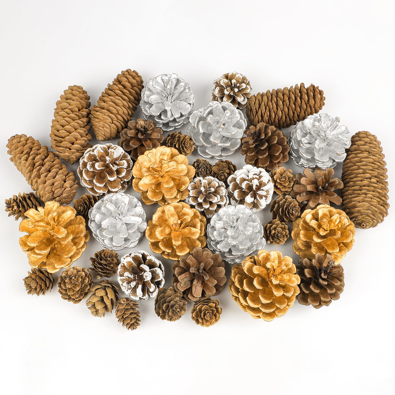 Fangoo 40Pcs Natural Christmas Gold Silver Pine Cones Bulk PineCones Ornaments for Christmas Tree Decor Winter DIY Wreaths Garlands Crafts Decorating Xmas Holiday Thanksgiving Fall Bowl Fillers