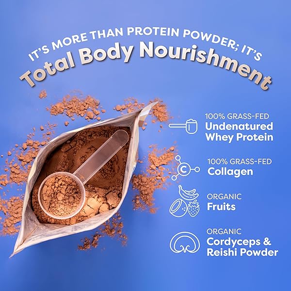 FLAVCITY GRASS FED WHEY PROTEIN POWDER – VARIETY PACK – 25G PROTEIN & 10G COLLAGEN – 5 SINGLE SERVE PACKETS – MADE WITH ORGANIC REISHI & CORDYCEPS – GLUTEN FREE & NO ADDED SUGARS