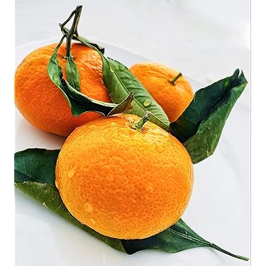 Amazon Best Sellers: Best Fresh Satsuma Oranges