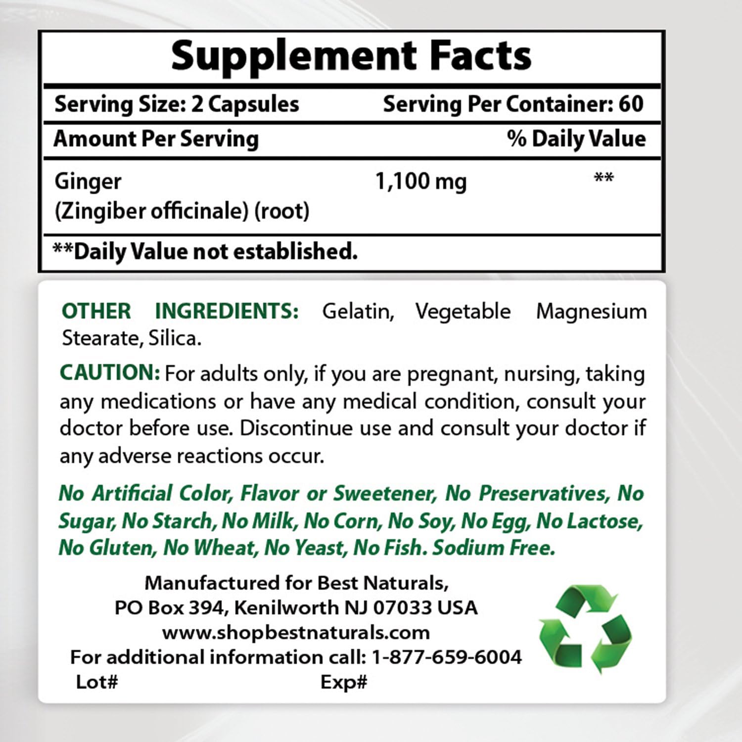 Best Naturals Ginger Root Capsules Supplement for Nausea and Motion