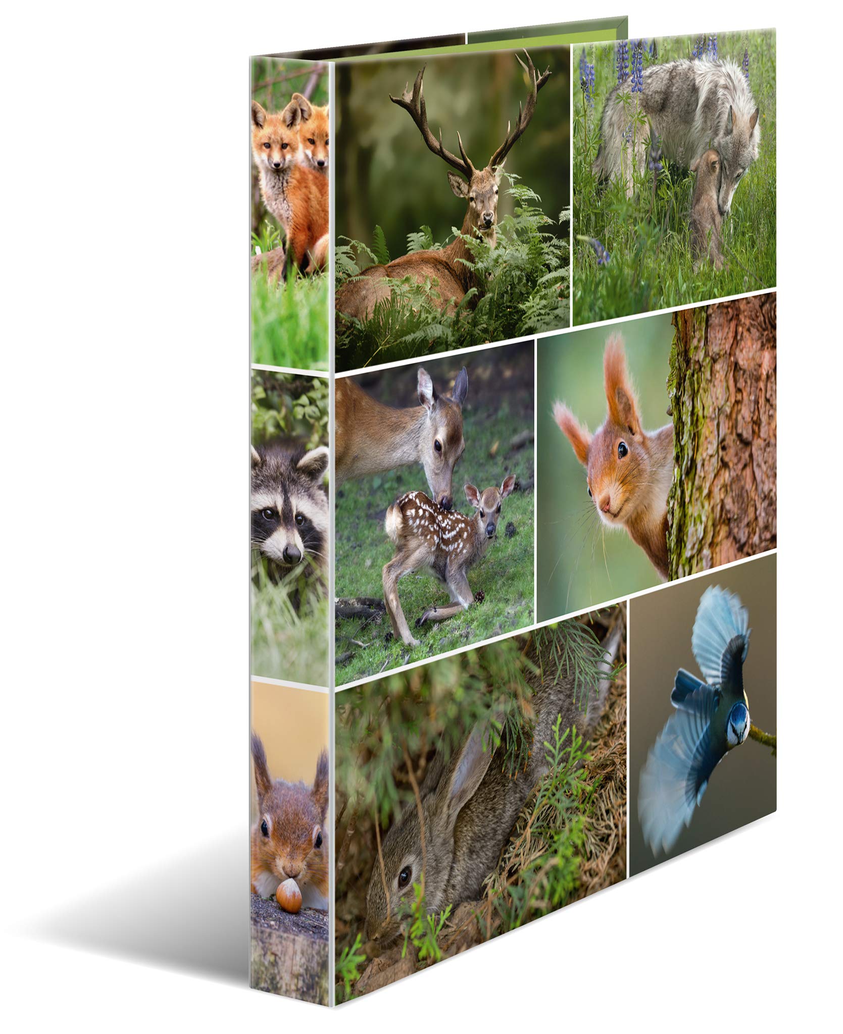 HERMA Ring Binder Animals with Forest Animals Motif, A4, 35 mm Spine, Slim 2-Ring Binder Made of Cardboard