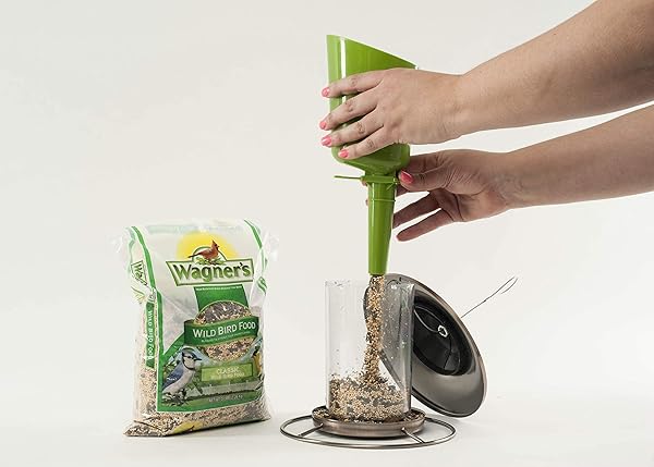 WAGNER’S 52003 CLASSIC BLEND WILD BIRD FOOD, 6-POUND BAG