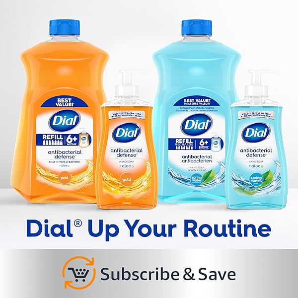 DIAL ANTIBACTERIAL LIQUID HAND SOAP, SPRING WATER, 11 FL OZ (PACK OF 4)