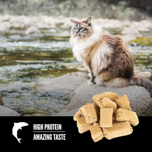 ORIJEN SIX FISH FREEZE DRIED CAT TREATS, GRAIN FREE TREATS FOR CATS, RAW ANIMAL INGREDIENTS, 1.25OZ