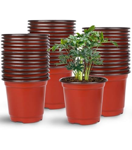 500 Pcs 6 Inch Black Nursery Pots - Bulk Seedling Containers For Plants, Succulents, Cuttings & Transplanting