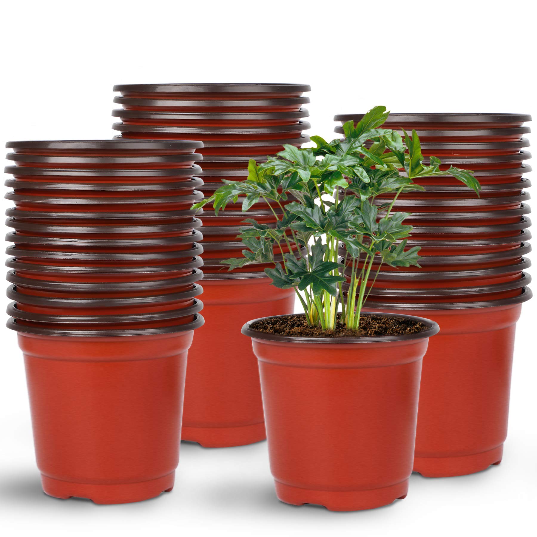 Augshy Nursery Pot, 75 Pcs 4 inch Plastic Plant Pot Nursery Seed Starting Pots Flower Plant Container for Succulent Seedling Cutting Transplanting,Red