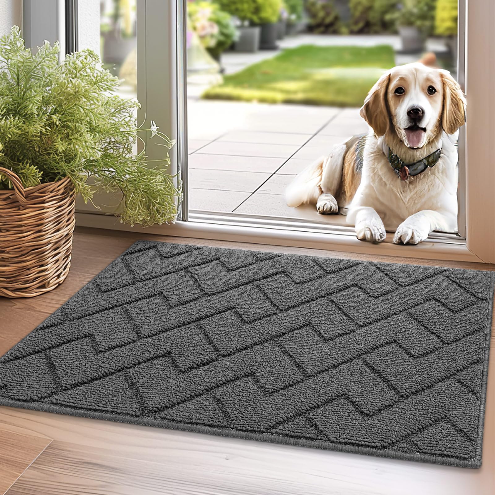 Biscpro Door Mats Indoor,Dirt Trapper Mat Absorbent Non-Slip Low Profile Doormat for Entrance,Inside, Kitchen,Front Door Mat Washable for Pets and Dogs— 50x80cm,Grey — image 1
