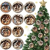BBTO 16 Pcs Nativity Scene Ornaments Religious Christmas Wooden Hanging 3D Ornament The Birth of Jesus Christian Christmas Decorations for Tree Xmas(Nativity)
