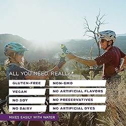 Tailwind Nutrition Recovery Mix, Complete