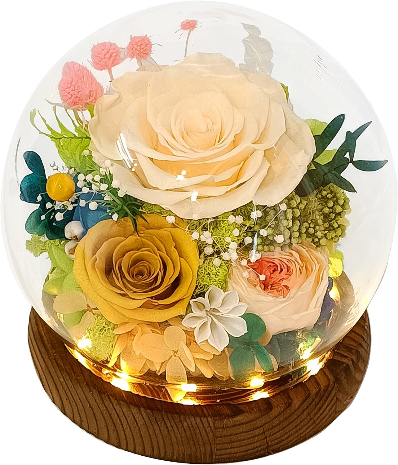 Dried & Preserved Flora - Valley of Rain & Forest Long-Lasting Real Flowers, Floral Gift For you to send Love for All Occasions, for Indoor Decoration (Champagne Rose, Yellow Rose, Pink Austin Rose)