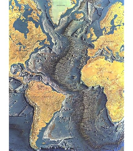 Amazon.com : National Geographic World Ocean Floor - 42.5 x 29.5