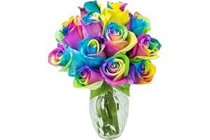 KaBloom Flowers - Mother's Day Collection - Bouquet of 12 Fresh Rainbow Roses (Farm-Fresh, Long-Stem) with Vase.Gift for Birthday, Thank You, Valentine, Mother’s Day Fresh Flowers