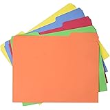 AmazonBasics AMZ401  File Folders - Letter Size (100 Pack) – Assorted Colors