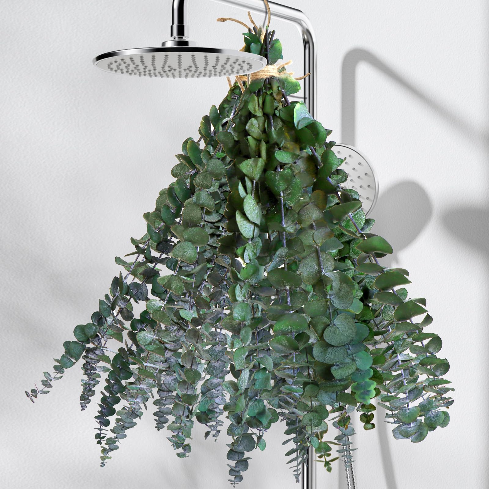 Photo 1 of 20Pcs Dried Eucalyptus for Shower Hanging-17''Preserved Real Fresh Eucalyptus Stems for Green Home Decor,100%Made from Fresh Eucalyptu Leaves Plant,Bathroom Shower Decor,Wedding Decor