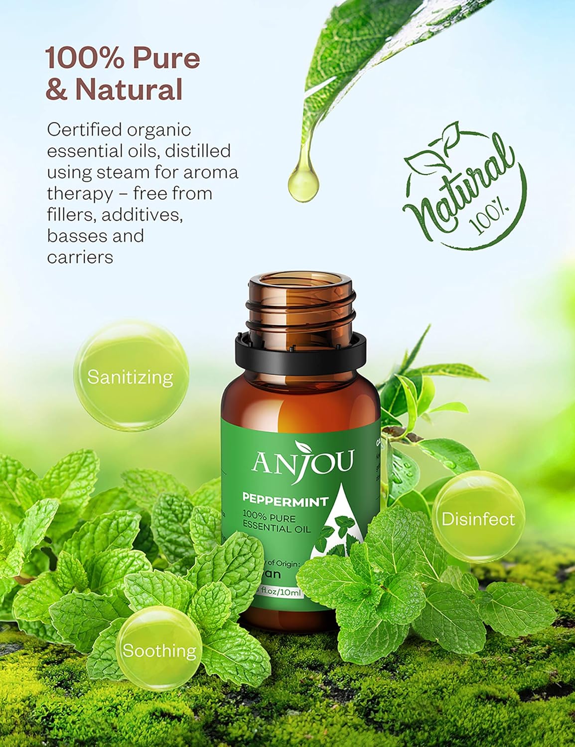 Essential Oils Set - Anjou Aromatherapy Essential Oil Top 6 10ml Pure & Therapeutic Grade for Diffuser Massage Yoga Auto Office: Health & Personal Care
