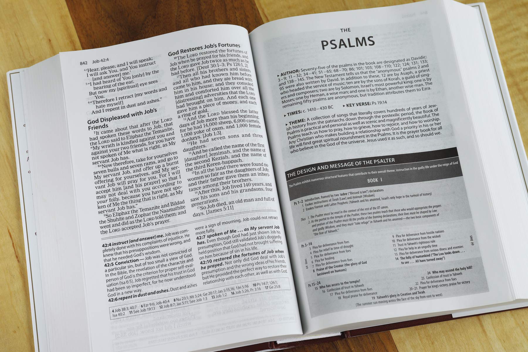 The Amplified Study Bible, Hardcover