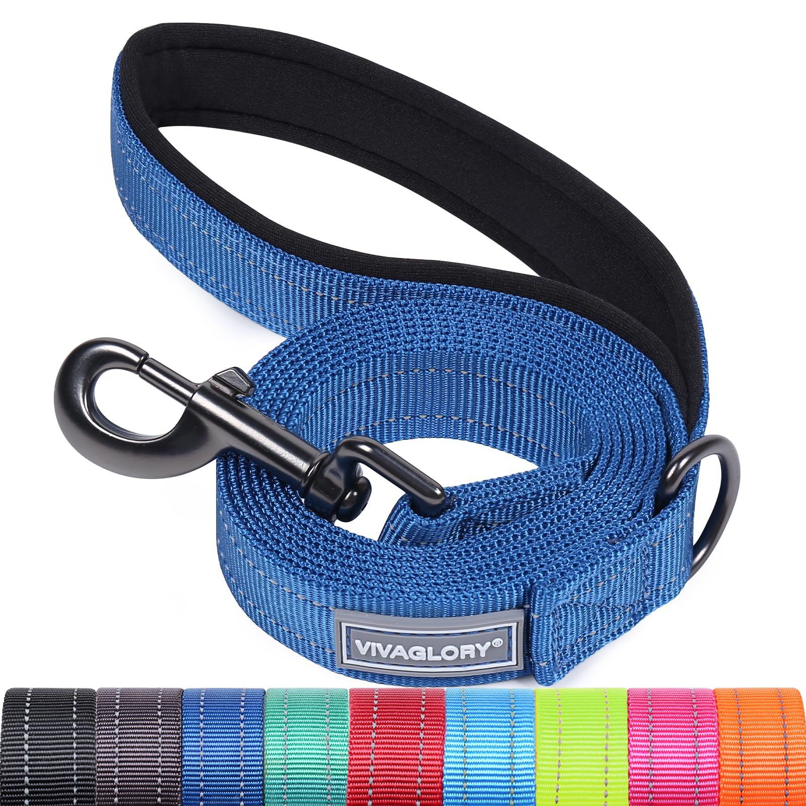 VIVAGLORY Dog Lead Dailyx Dog Leash, Lead with Soft Padded Handle for Training & Walking, Heavy Duty & Double Layer Nylon for Pet Puppy, 90 x 2.5cm, Blue