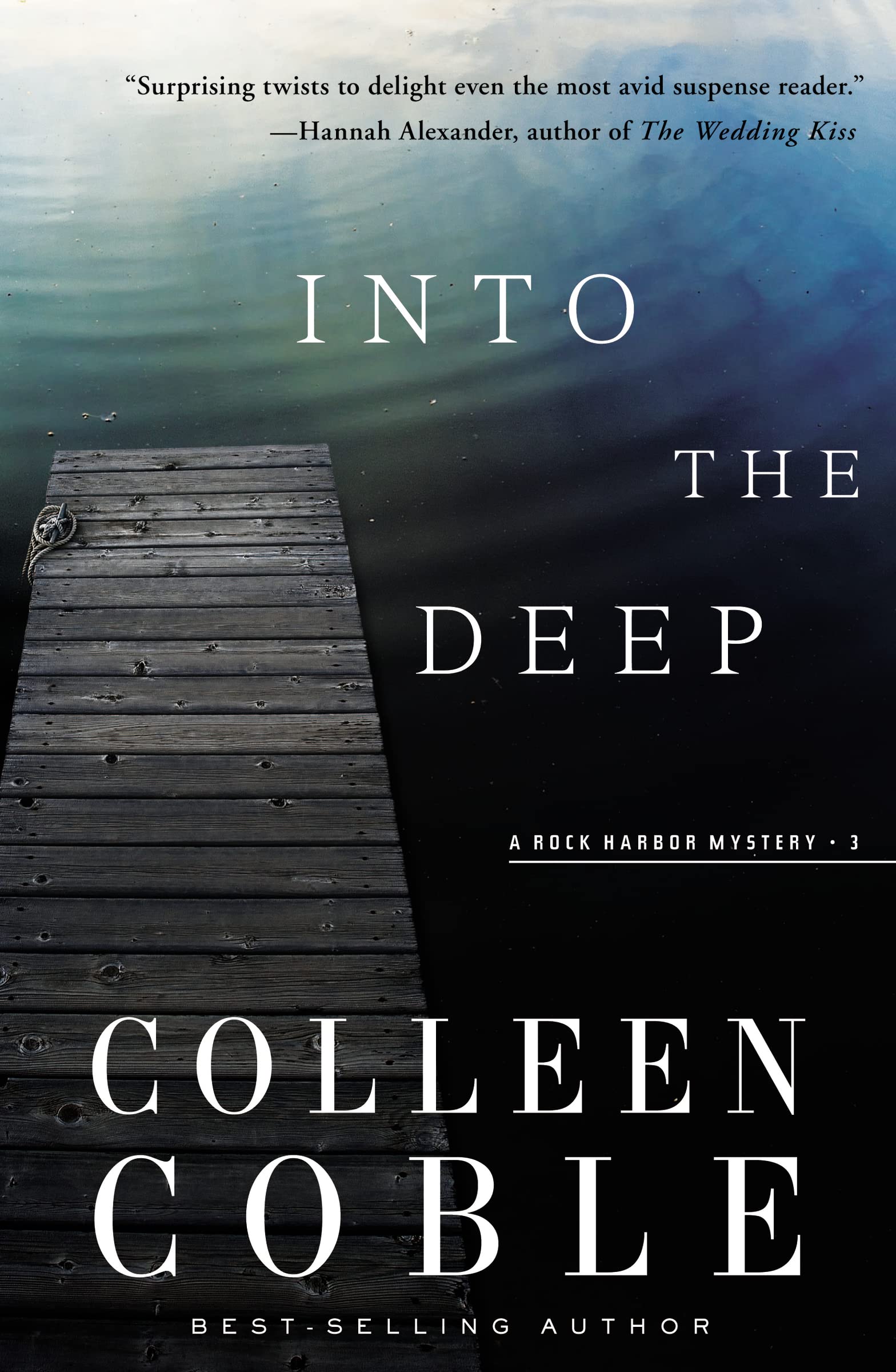 Into the Deep: A Rock Harbor Novel (Rock Harbor Series) Into the Deep: A Rock Harbor Novel (Rock Harbor Series) Paperback