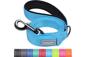 VIVAGLORY Dailyx Dog Leash, Nylon Leash for Training & Walking with Soft Padded Handle, Heavy Duty & Double Layer Nylon for P