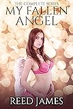 My Fallen Angel