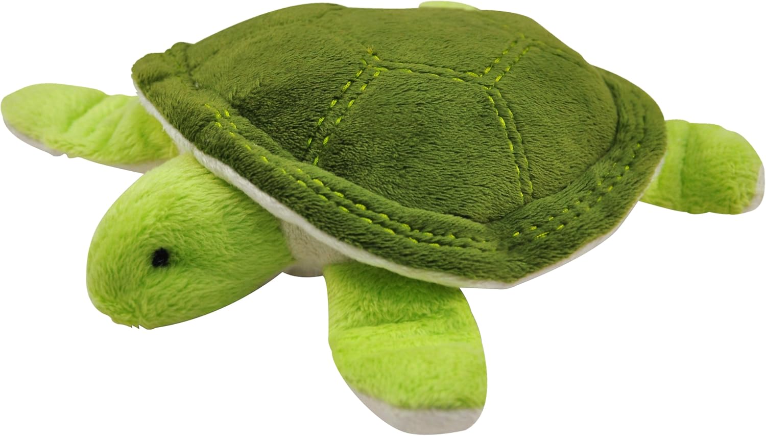 green turtle pet