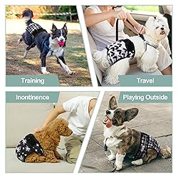 Female Dog Diapers - Premium Reusable Diapers for