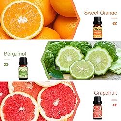 SALUBRITO Fresh Fruit Fragrance Oils Set, Essential