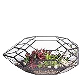 Large Handmade Irregular Polyhedral Geometric Glass Terrarium Planter Indoor Air Plants Holder Window Balcony Display Box Succulent Flower Pot Diy Centerpiece for Wedding Table Garden Decor 11inches