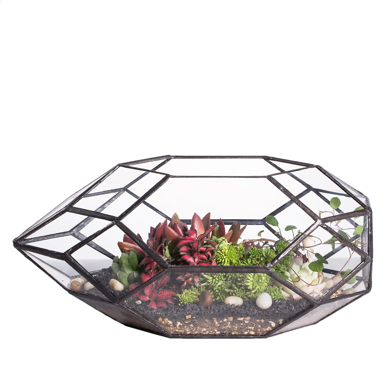 Homtone Fioriera geometrica per terrario, 24 cm, con vassoio, a forma di casa, colore nero, realizzata a mano, vintage, in miniatura, per piante grasse, cactus, piante d'aria, colore nero