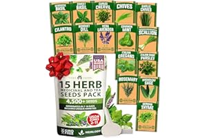 HOME GROWN 15 Herb Seeds for Planting 4,500+ Non-GMO Heirloom Seeds | Extra Large Variety Pack Herb Kit – Indoor Outdoor & Hydroponic | Culinary Seed Set | Grow Your Own Herbs | Gardening Gift