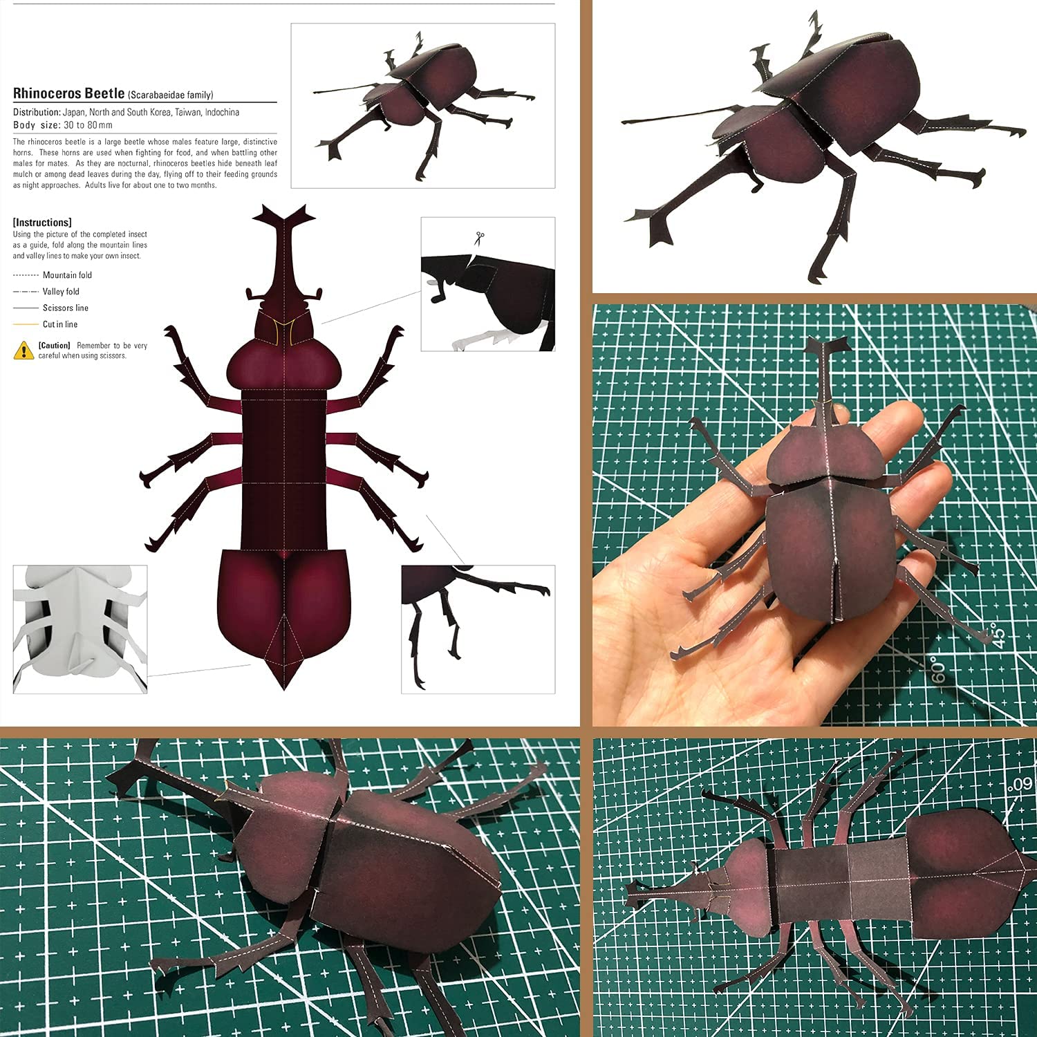 Mua 3D Kids Animal Origami Kit,11 Patterns,Children's Science Insects ...