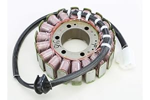 RICK'S MOTORSPORT ELECTRICS Ricks Motorsport Electric Stator 21-315
