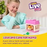 Little Live Pets LLP Hamster Mama Surprise Mini Interactive Toy 3 Babies view 2