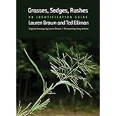 Grasses, Sedges, Rushes: An Identification Guide