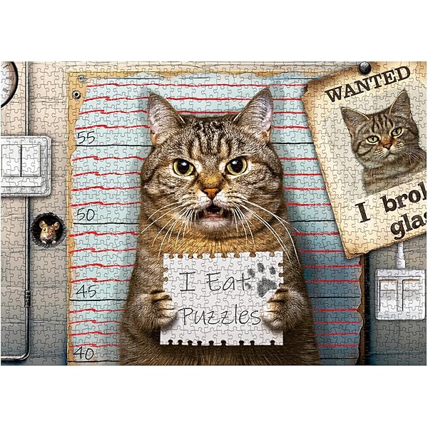 Letters from Cats: Hilarious & Heartfelt Notes: Ritz, Stacey