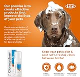 ICF CLX 4% Foam Mousse Dry Shampoo for Dogs & Cats 100 ml view 4